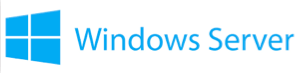 Logo Windows Server