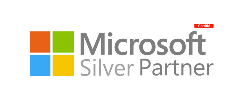Logo silver de Microsoft Partner