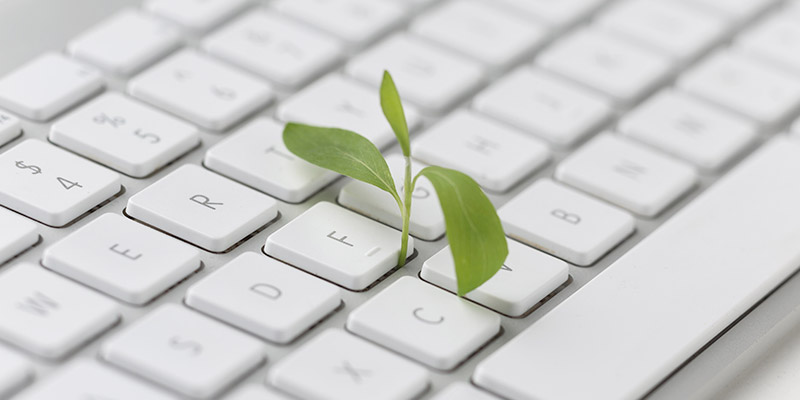 Green IT : comment choisir des équipements responsables pour votre parc informatique à l’aide de votre prestataire informatique ? Une petite feuille qui pousse sur un clavier d'ordinateur