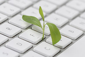 Une petite feuille qui pousse sur un clavier d'ordinateur