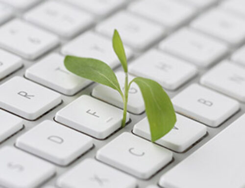Green IT : comment choisir des équipements responsables pour votre parc informatique à l’aide de votre prestataire informatique ?