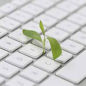 Une petite feuille qui pousse sur un clavier d'ordinateur
